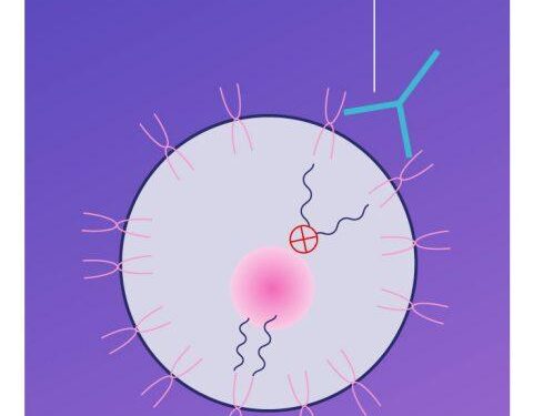 Researchers Build Real-World External Control Arm to Accelerate HER2+ Breast Cancer Drug Development – OncLive