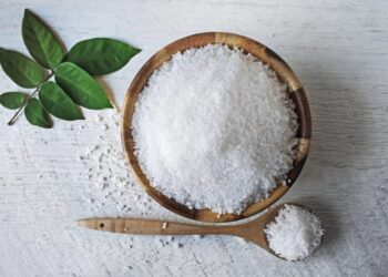 Too much salt can hijack your brain – ScienceDaily