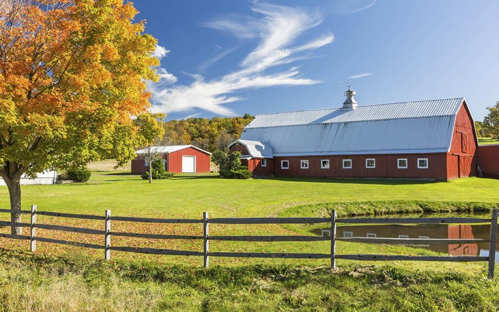 Diversification helps Minnesota farm navigate ag economy slump – Brownfield Ag News