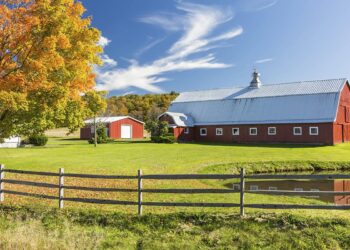 Diversification helps Minnesota farm navigate ag economy slump – Brownfield Ag News