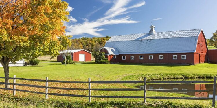 Diversification helps Minnesota farm navigate ag economy slump – Brownfield Ag News