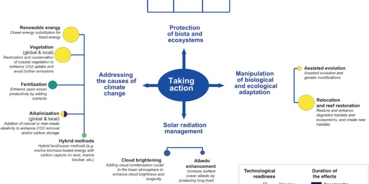 Scientists warn ocean-based climate fixes lack rules and oversight – Mongabay
