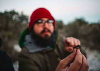 Entomologists, Fellow Scientists Report Negative Impacts of Government Actions – Entomology Today