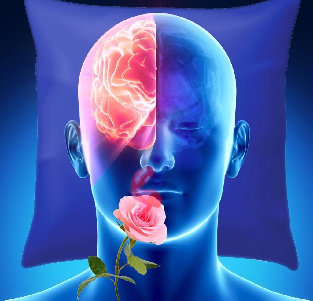 This Week in Science: Brain-Boosting Smells, The Brightest Flash Ever, And More! – ScienceAlert