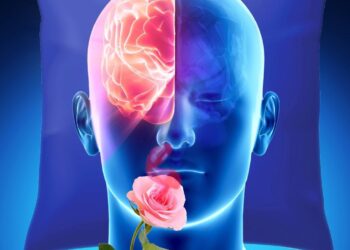 This Week in Science: Brain-Boosting Smells, The Brightest Flash Ever, And More! – ScienceAlert