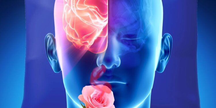 This Week in Science: Brain-Boosting Smells, The Brightest Flash Ever, And More! – ScienceAlert