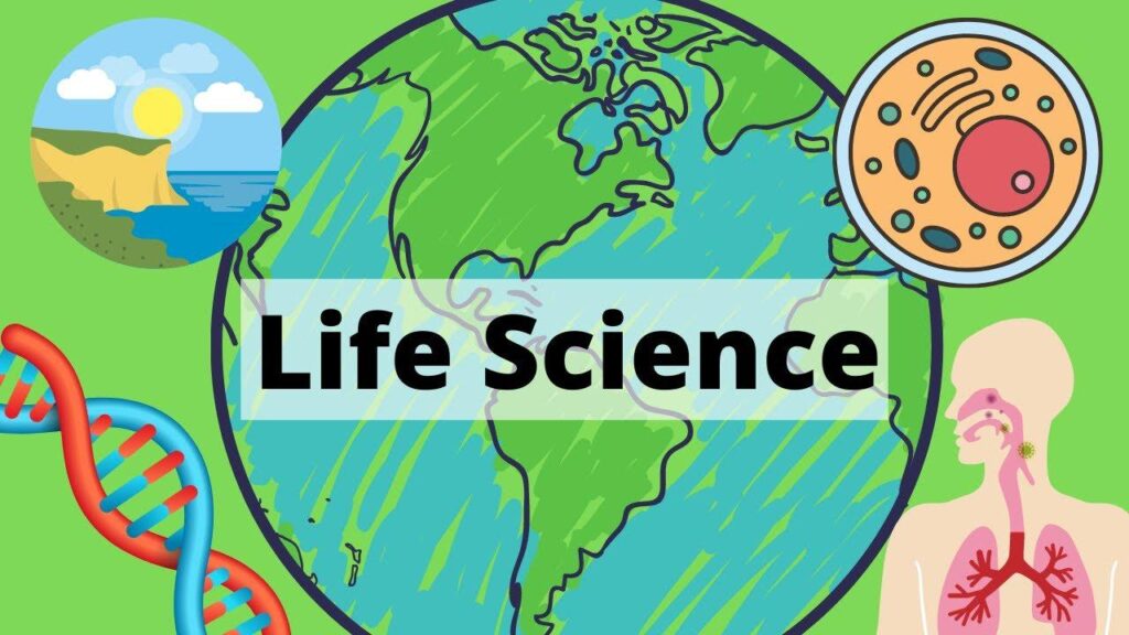 Bringing life science to life: Park Crossing teacher recognized – WSFA