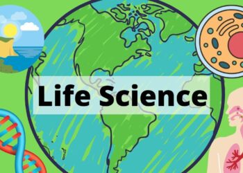 Bringing life science to life: Park Crossing teacher recognized – WSFA