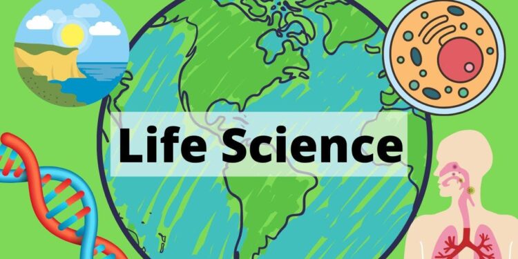 Bringing life science to life: Park Crossing teacher recognized – WSFA