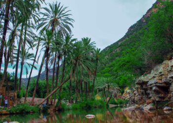 Style Spotlight: Paradise Valley City Lifestyle Drops September Issue – 12News