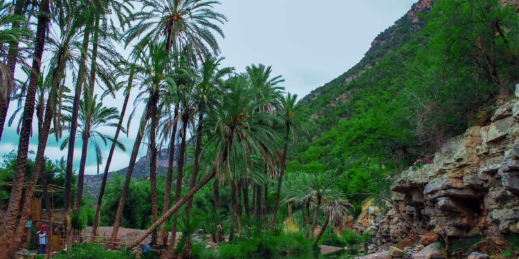 Style Spotlight: Paradise Valley City Lifestyle Drops September Issue – 12News