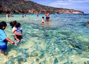 When the crowds left, reefs came alive at Hanauma Bay – EurekAlert!