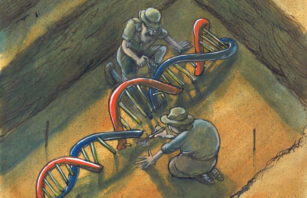 News – Ancient DNA Pinpoints Culprit Responsible for World’s First Pandemic – Archaeology Magazine