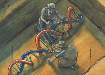 News – Ancient DNA Pinpoints Culprit Responsible for World’s First Pandemic – Archaeology Magazine