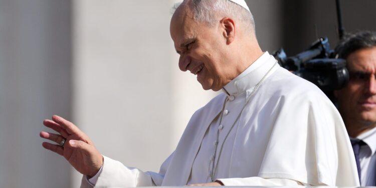 Pope Leo XIV: Caring for Creation is our vocation – Vatican News