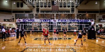 Palmetto Sports & Entertainment to air Columbia Fireflies playoff games – WIS News 10