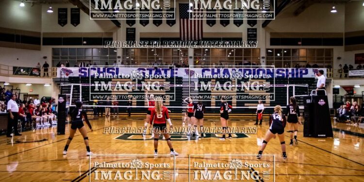 Palmetto Sports & Entertainment to air Columbia Fireflies playoff games – WIS News 10