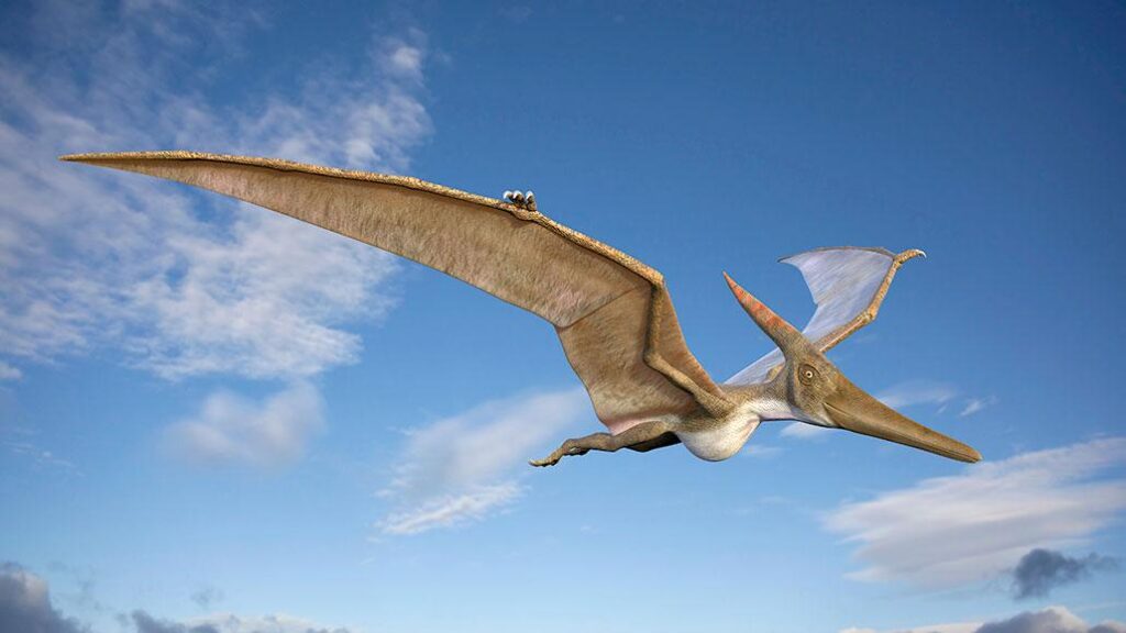 ‘Our hearts stopped’: Scientists find baby pterosaurs died in violent Jurassic storm 150 million years ago – Live Science