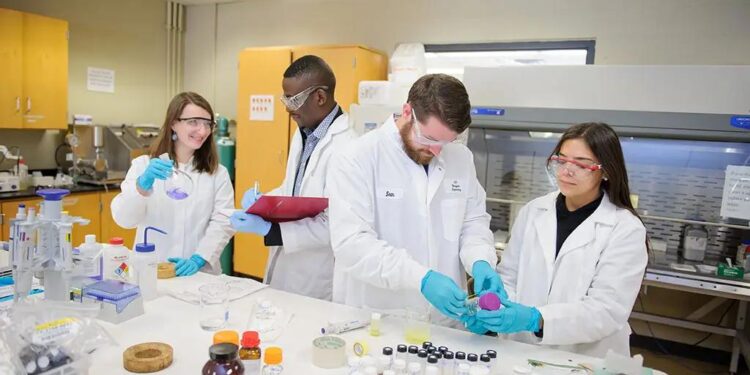 College of Science alumni spotlight: George Meister ‘00 – Clemson News