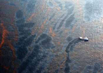 ‘We’ve done it before’: how not to lose hope in the fight against ecological disaster – The Guardian