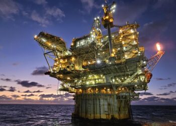 Oil rig study reveals vital role of tiny hoverflies – Phys.org