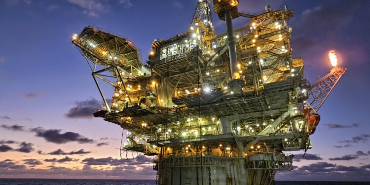 Oil rig study reveals vital role of tiny hoverflies – Phys.org