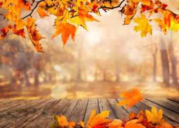 Why does fall begin September 22? The answer may surprise you – Bergen Record