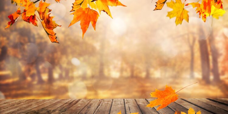 Why does fall begin September 22? The answer may surprise you – Bergen Record