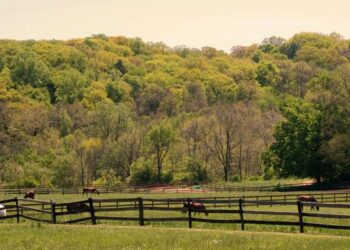 Pepper Pike council considers upgrading technology for streaming meetings, remote meeting participation – Cleveland.com