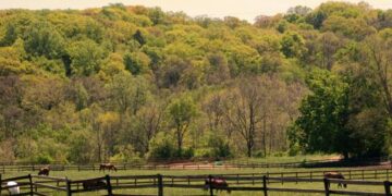 Pepper Pike council considers upgrading technology for streaming meetings, remote meeting participation – Cleveland.com