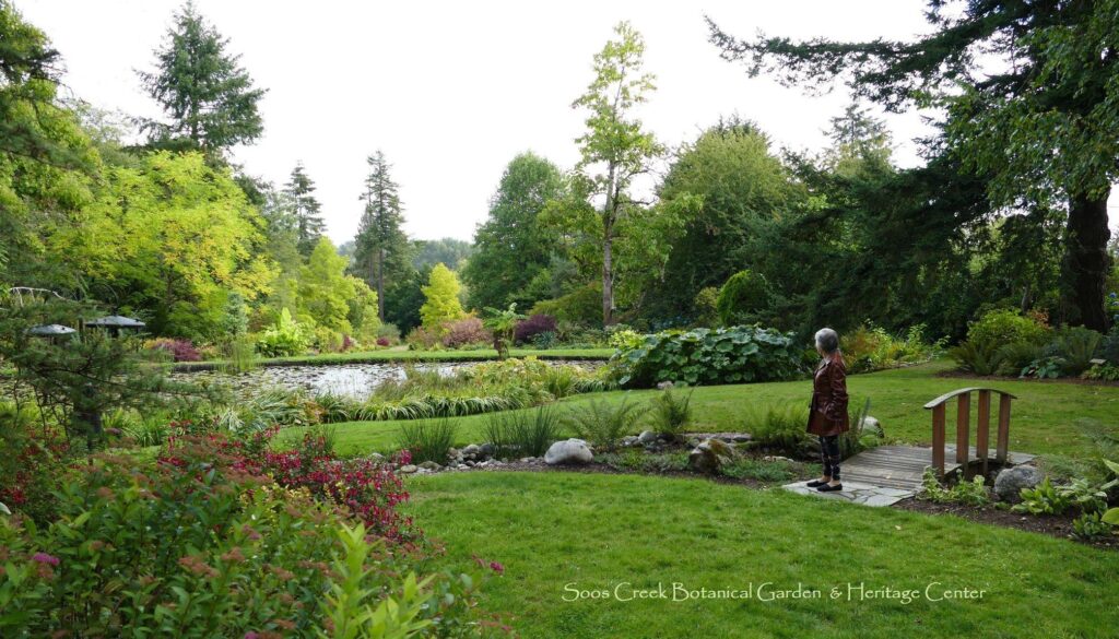 Soos Creek’s journey from decline to recovery – Washington State Department of Ecology (.gov)