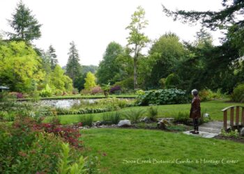 Soos Creek’s journey from decline to recovery – Washington State Department of Ecology (.gov)