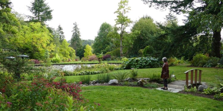 Soos Creek’s journey from decline to recovery – Washington State Department of Ecology (.gov)