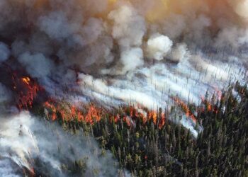 Could wildfire smoke become America’s leading climate health threat by 2050? – Los Angeles Times