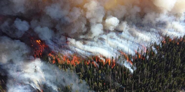 Could wildfire smoke become America’s leading climate health threat by 2050? – Los Angeles Times