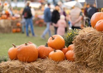 Harvest Fest 2025 – yadkinripple.com