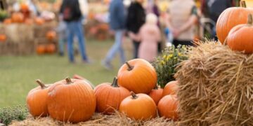 Harvest Fest 2025 – yadkinripple.com