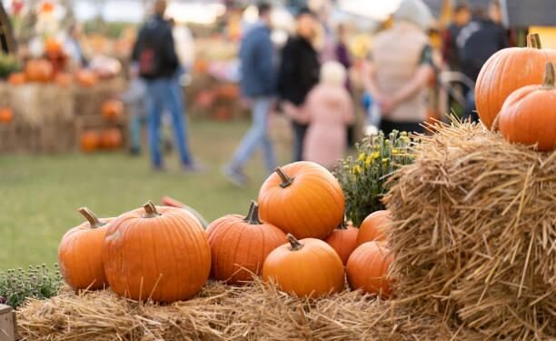 Harvest Fest 2025 – yadkinripple.com