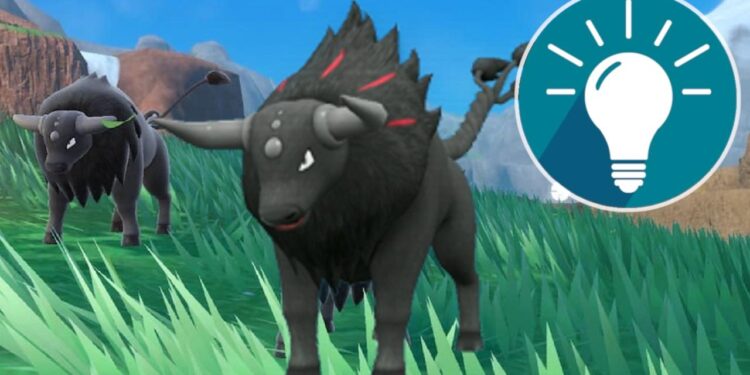 Tauros drop series finale in shootout – minotdailynews.com