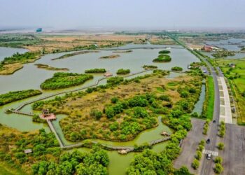 Conservation efforts paying off for Yellow River basin ecology – China Daily