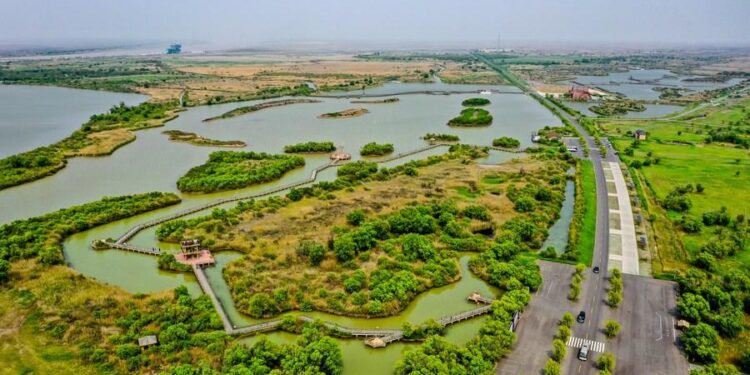 Conservation efforts paying off for Yellow River basin ecology – China Daily