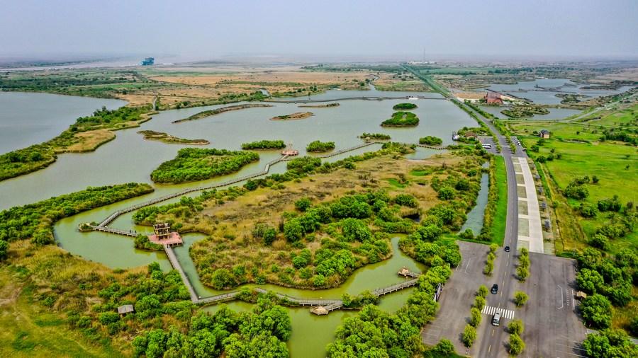 Conservation efforts paying off for Yellow River basin ecology – China Daily