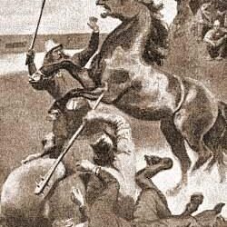 Viking Sports Weekly September 22 – csuvikings.com