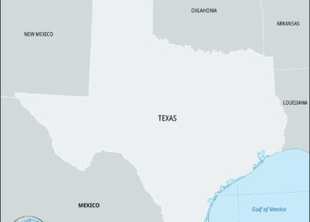 McAllen holds entertainment district code enforcement meeting – ValleyCentral.com