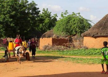 These rural communities feed the world. They’re also going hungry. – Investigate Midwest
