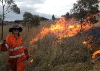 Ecological burns slated for Corvallis area this weekend – NPR for Oregonians