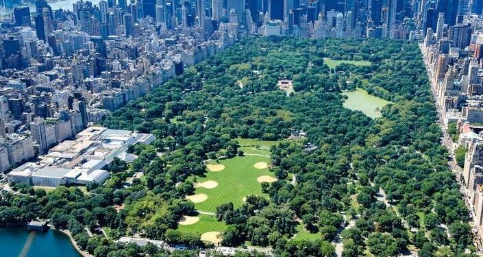 City Parks Initiative Launches Ecological Tracker for Bond Projects – Citizen Portal AI