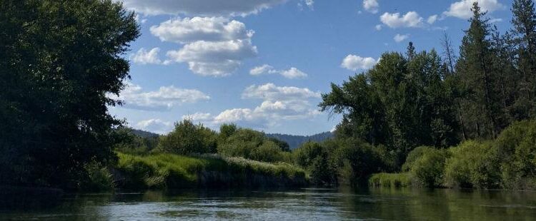 Little Spokane River Spill – Washington State Department of Ecology (.gov)