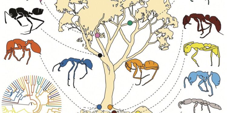 Featured in Functional Ecology – besjournals