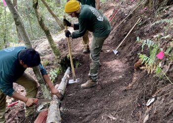 Neighborhood Ecology Corps – RaleighNC.gov